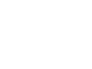 BestBuy_White-300x225